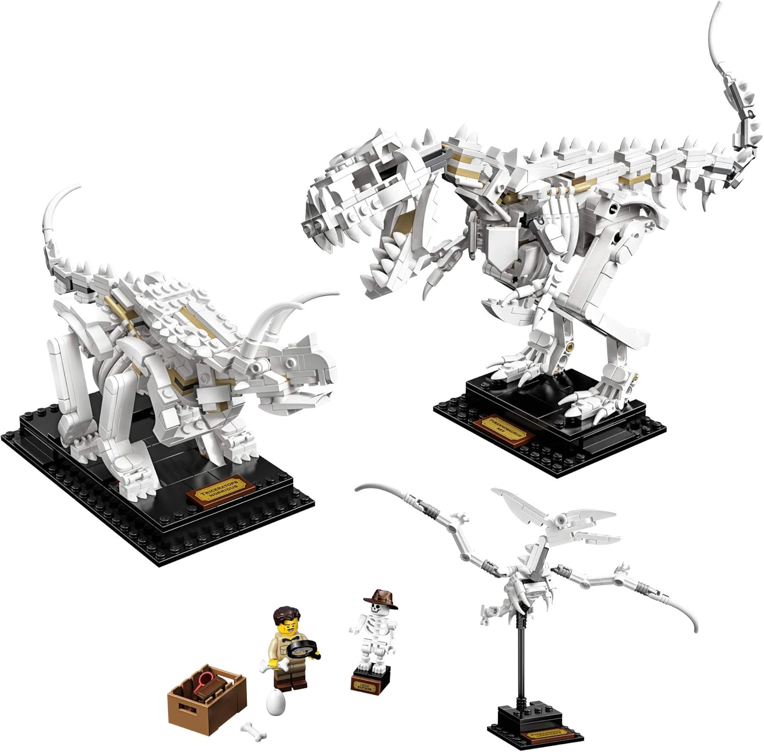 LEGO Ideas Dinosaur Fossils #21320
