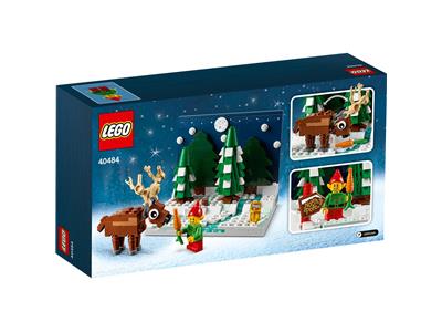LEGO Santa's Front Yard #40484