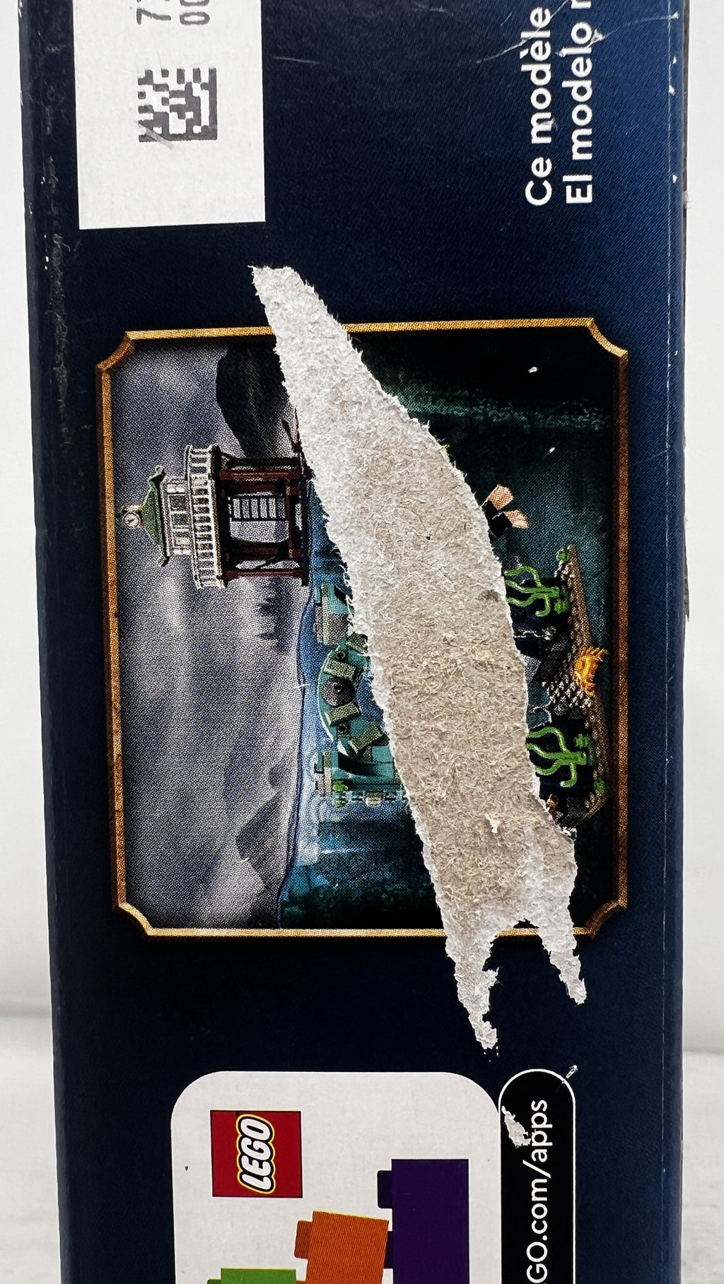 LEGO Harry Potter Triwizard Tournament: The Black Lake 76420 (Torn graphic, security tag, see pictures)