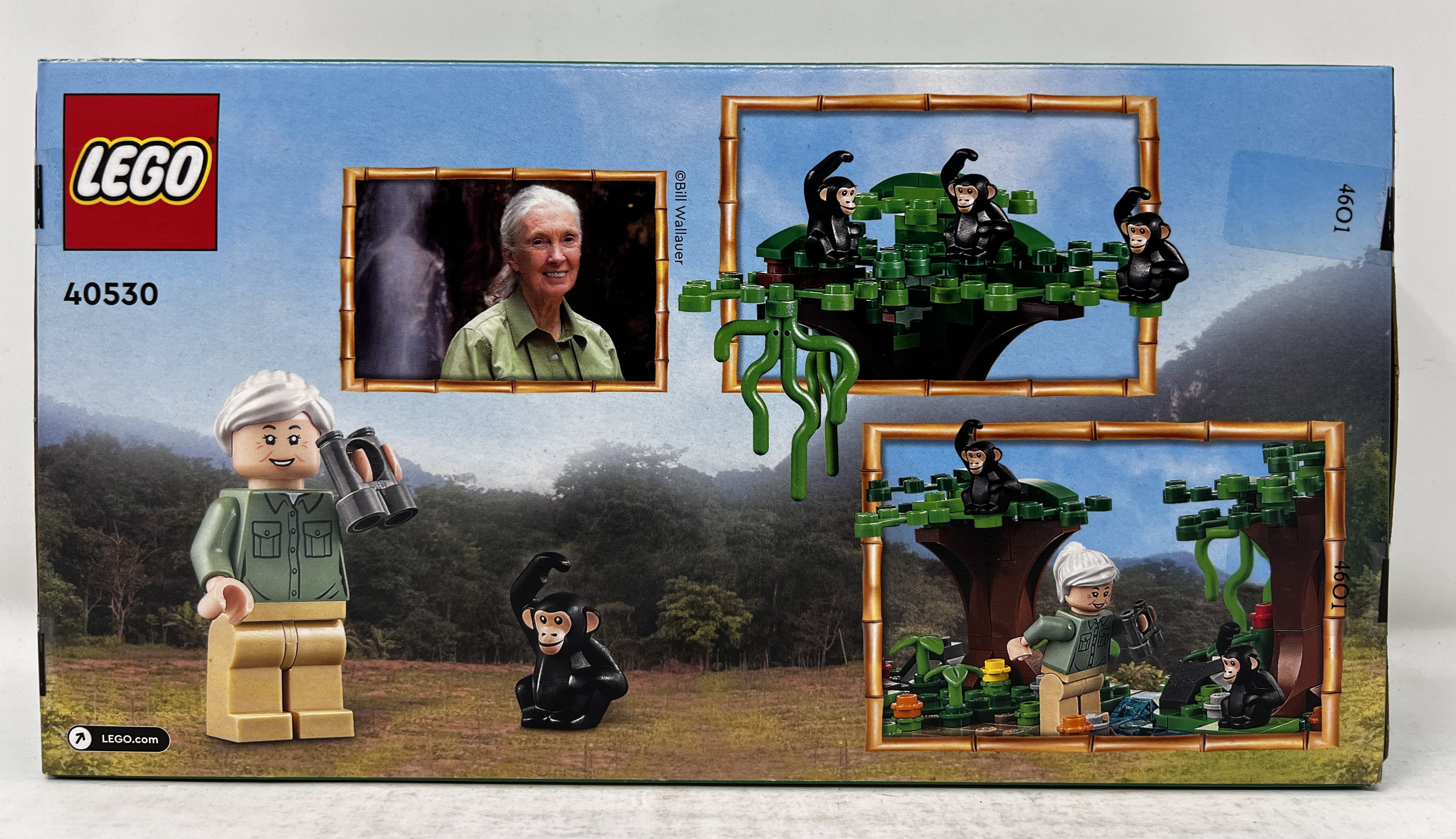 LEGO Jane Goodall Tribute 40530