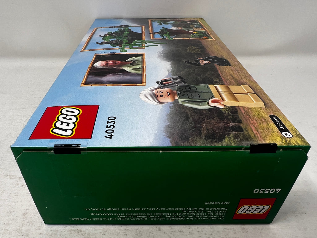 LEGO Jane Goodall Tribute 40530 Glue residue, see pictures)